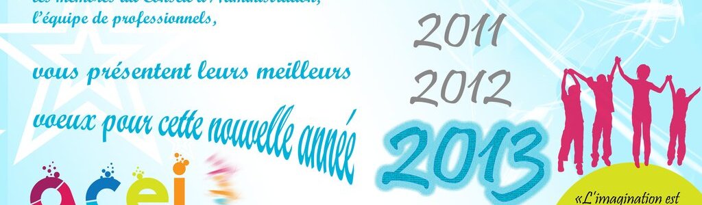 Bonne année 2013