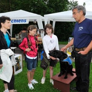 Handi chiens 0496