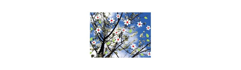 Programme des vacances de printemps