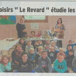 Les enfants etudie les champignons