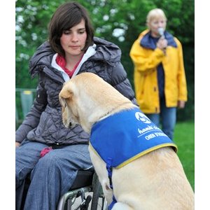 Handi chiens 0982